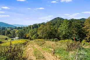 456 Maney Br Rd, Burnsville, NC 28714 - Photo 32