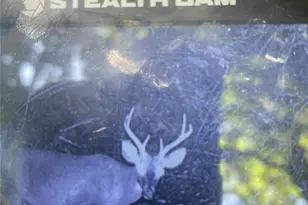 456 Maney Br Rd, Burnsville, NC 28714 - Photo 44