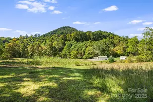 456 Maney Br Rd, Burnsville, NC 28714 - Photo 2