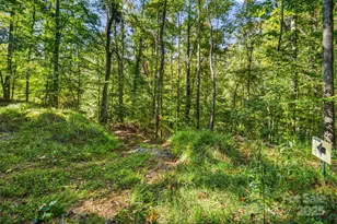 456 Maney Br Rd, Burnsville, NC 28714 - Photo 38