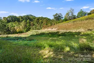 456 Maney Br Rd, Burnsville, NC 28714 - Photo 28