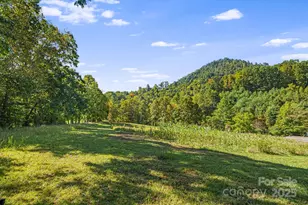 456 Maney Br Rd, Burnsville, NC 28714 - Photo 34