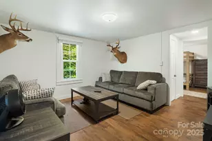 456 Maney Br Rd, Burnsville, NC 28714 - Photo 6