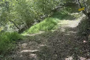 000 Maney Branch Rd, Burnsville, NC 28714 - Photo 44