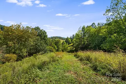 000 Maney Branch Road, Burnsville, NC 28714 - Photo 30