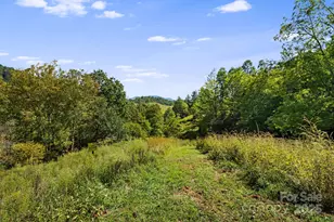 000 Maney Branch Rd, Burnsville, NC 28714 - Photo 30