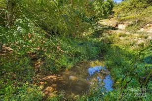 000 Maney Branch Rd, Burnsville, NC 28714 - Photo 12