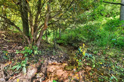 000 Maney Branch Road, Burnsville, NC 28714 - Photo 18