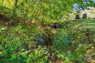 000 Maney Branch Rd, Burnsville, NC 28714 - Photo 6