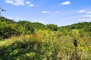 000 Maney Branch Rd, Burnsville, NC 28714 - Photo 34