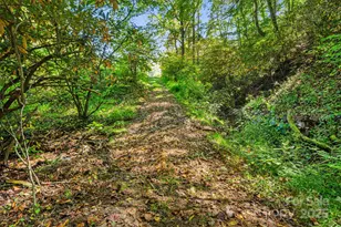 000 Maney Branch Rd, Burnsville, NC 28714 - Photo 20