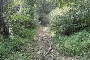 000 Maney Branch Rd, Burnsville, NC 28714 - Photo 42