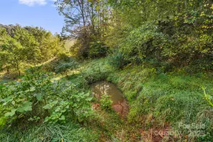 000 Maney Branch Rd, Burnsville, NC 28714 - Photo 32