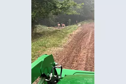 000 Maney Branch Road, Burnsville, NC 28714 - Photo 40