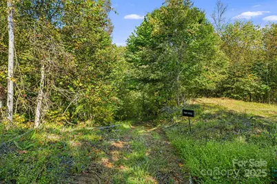 000 Maney Branch Road, Burnsville, NC 28714 - Photo 28