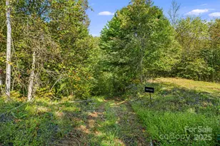 000 Maney Branch Rd, Burnsville, NC 28714 - Photo 28