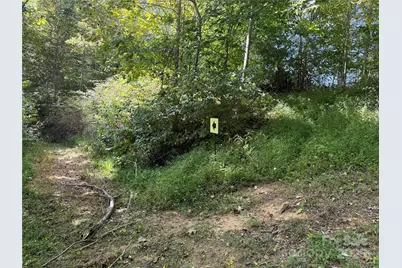 000 Maney Branch Road, Burnsville, NC 28714 - Photo 46