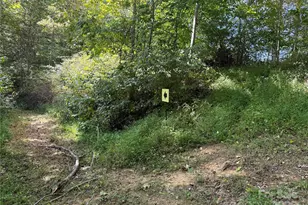 000 Maney Branch Rd, Burnsville, NC 28714 - Photo 46