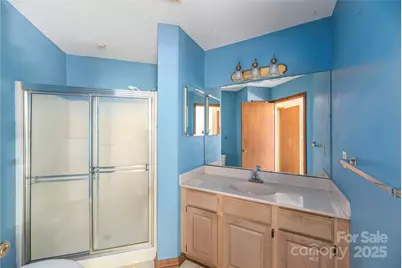 14 Llama Vista Court, Black Mountain, NC 28711 - Photo 12