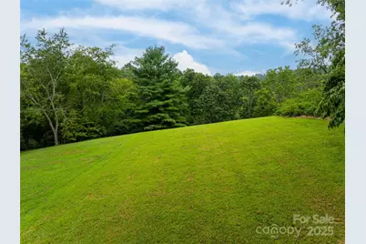 91 Carter Cove Road, Asheville, NC 28804 - Photo 46