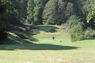 316 Players Ridge Rd, Hickory, NC 28601 - Photo 46