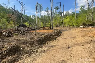 30 Crk Bnd Ln, Asheville, NC 28805 - Photo 26