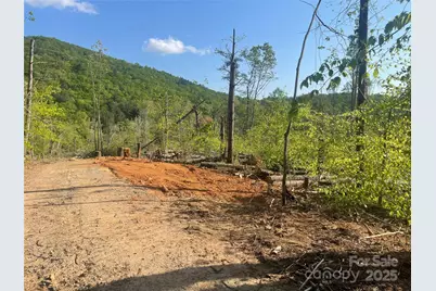 30 Creek Bend Lane, Asheville, NC 28805 - Photo 28