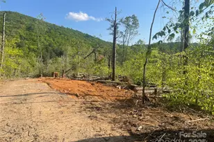 30 Crk Bnd Ln, Asheville, NC 28805 - Photo 28