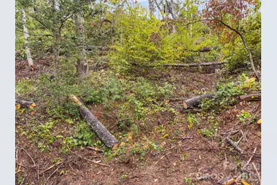 99999 Beaverbrook Road #2, Asheville, NC 28804 - Photo 4