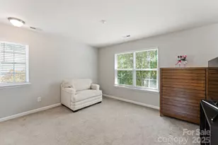 13635 Singleleaf Lane, Charlotte, NC 28278 - Photo 14