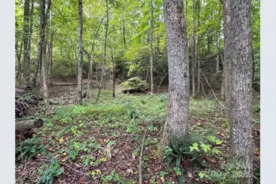 36 Bee Tree Point Court, Lake Lure, NC 28746 - Photo 10