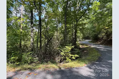 36 Bee Tree Point Court, Lake Lure, NC 28746 - Photo 18