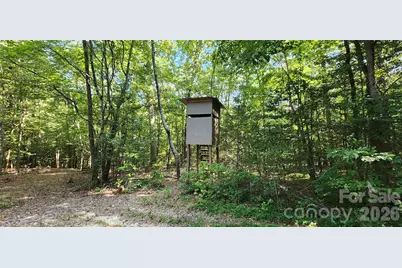 1115 John Short Road, Indian Land, SC 29707 - Photo 38