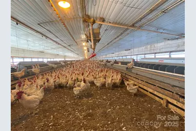 382 Poole Road, Ellenboro, NC 28040 - Photo 8