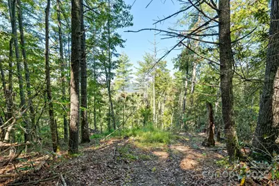 Tbd Anson G. Betts Road, Marshall, NC 28753 - Photo 2