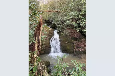 Tbd Anson G. Betts Road, Marshall, NC 28753 - Photo 16