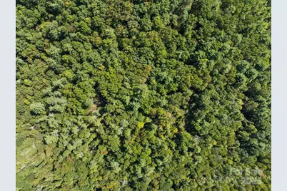 Tbd Anson G. Betts Road, Marshall, NC 28753 - Photo 12