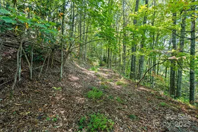 Tbd Anson G. Betts Road, Marshall, NC 28753 - Photo 4