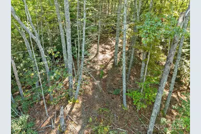 Tbd Anson G. Betts Road, Marshall, NC 28753 - Photo 10