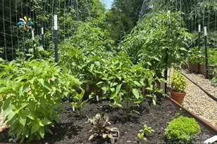 4194 Clifftonville Ave SW, Concord, NC 28025 - Photo 32