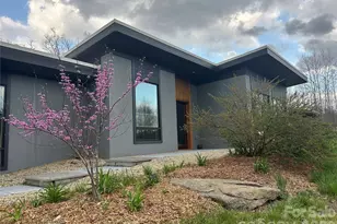 17 Fig Tree Ln, Asheville, NC 28803 - Photo 1