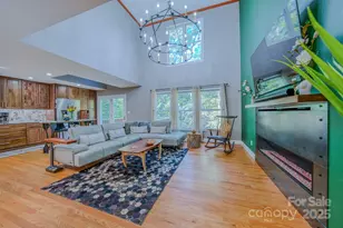 16 Dynasty Ln, Candler, NC 28715 - Photo 14