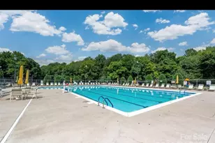 13308 Bolingbrook Ln, Charlotte, NC 28273 - Photo 32