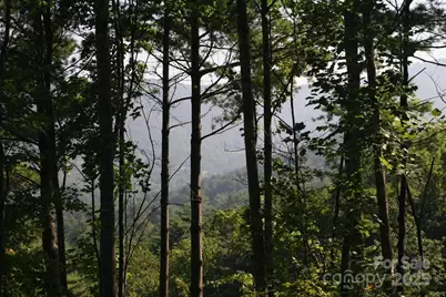 68 Wolfebridge Lane #16, Asheville, NC 28804 - Photo 4