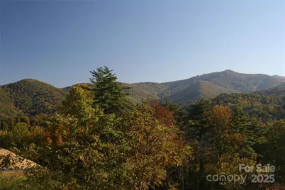 68 Wolfebridge Lane #16, Asheville, NC 28804 - Photo 1