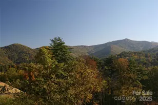 68 Wolfebridge Ln, Asheville, NC 28804 - Photo 1