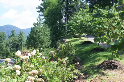 68 Wolfebridge Lane #16, Asheville, NC 28804 - Photo 10