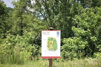 68 Wolfebridge Lane #16, Asheville, NC 28804 - Photo 6