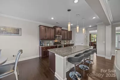 141 Rain Shadow Drive, Mooresville, NC 28115 - Photo 12