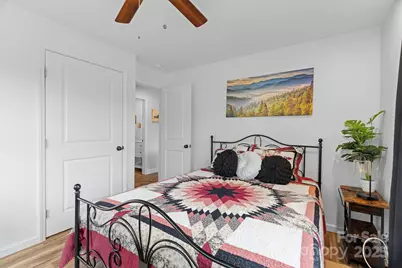 204 Mountain Spring Lane, Canton, NC 28716 - Photo 28